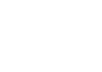 RP Profi